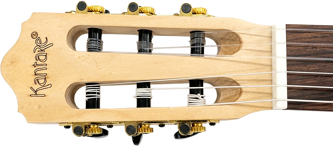 Headstock and tuners